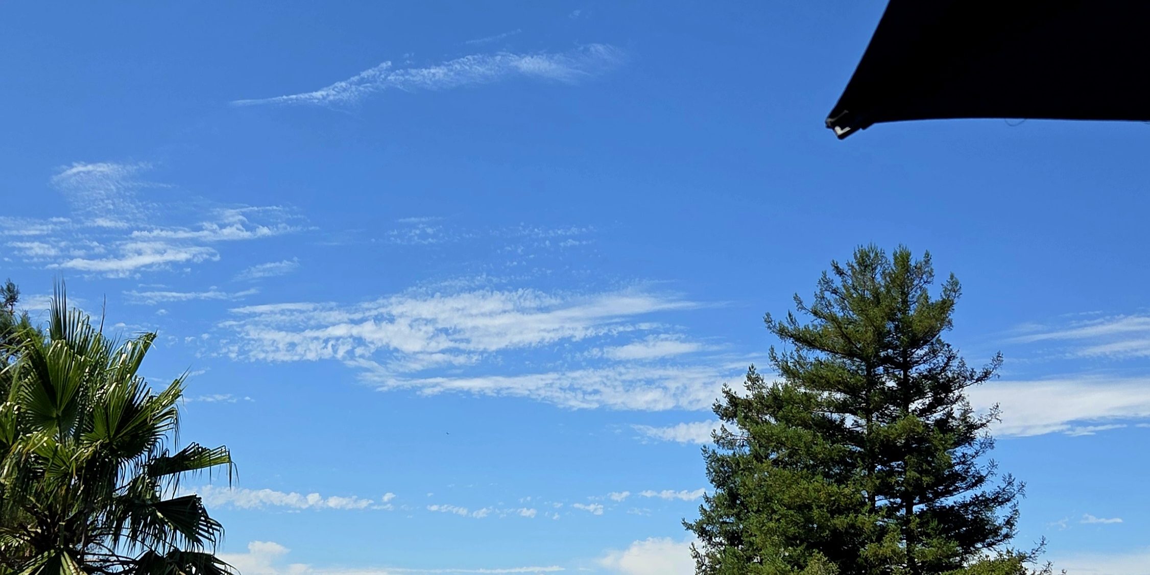 Under this big blue&nbsp;sky